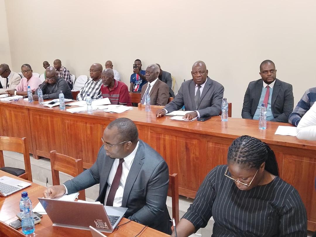Mongu Public Engages Technical Committee on Constitutional Amendments